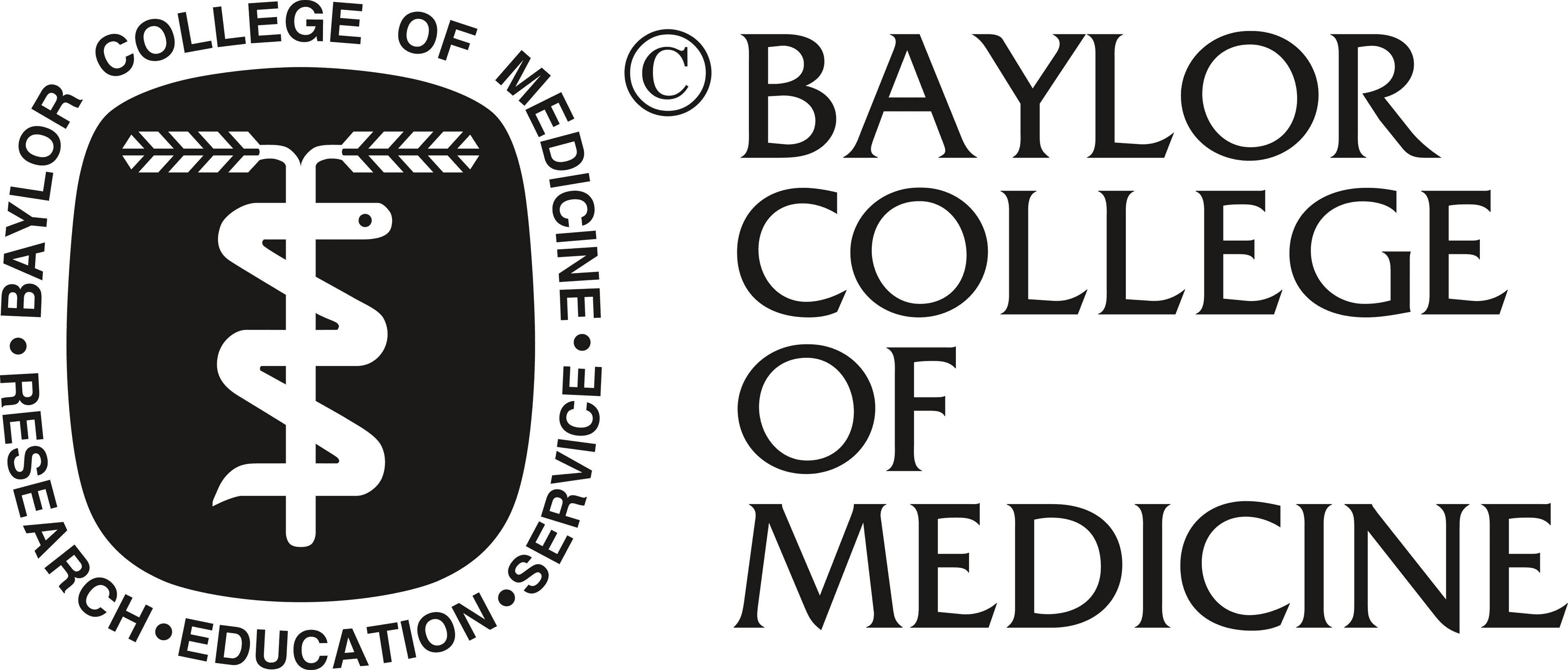 Preparing for the Baylor College of Medicine interview