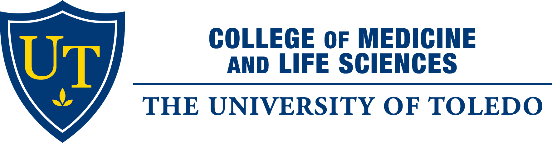 Preparing for the University of Toledo College of Medicine interview