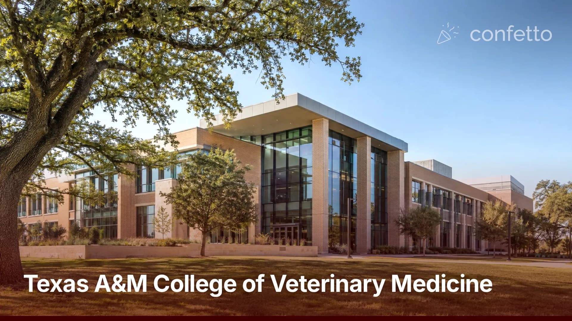 Illustration of a medical school campus, Texas A&M College of Veterinary Medicine