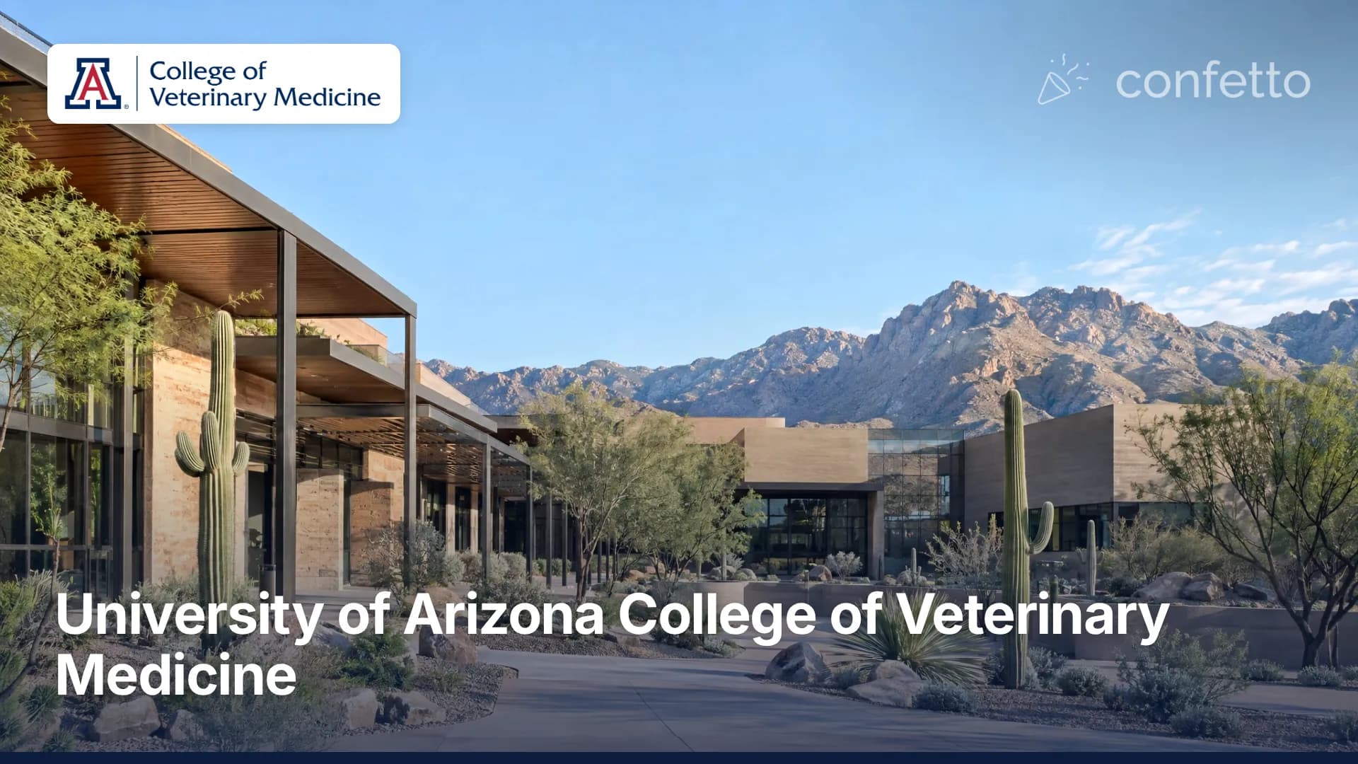 Illustration of a medical school campus, University of Arizona College of Veterinary Medicine